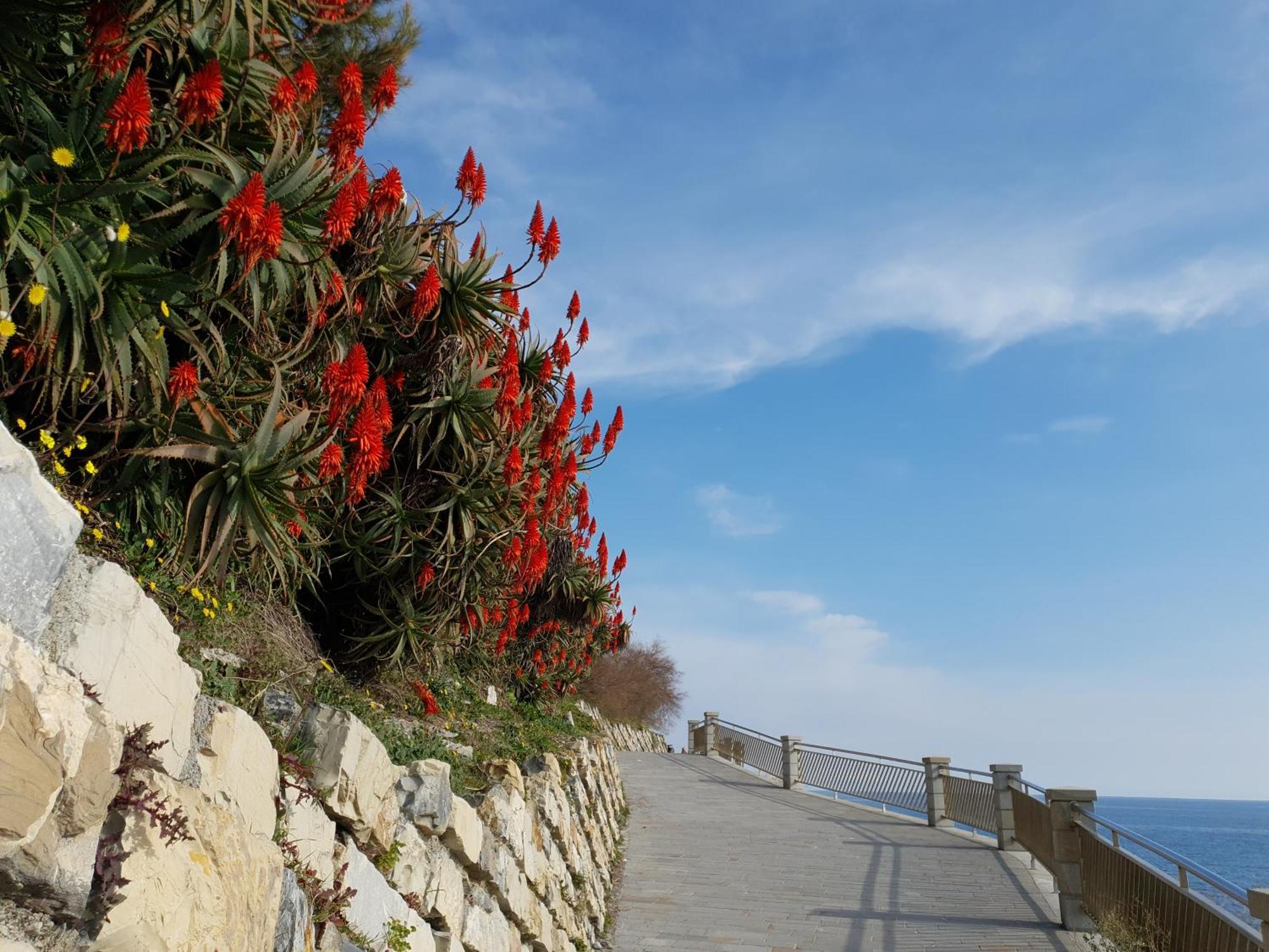 Adelebeppe "The Seaview" Apartamento Imperia Quarto foto